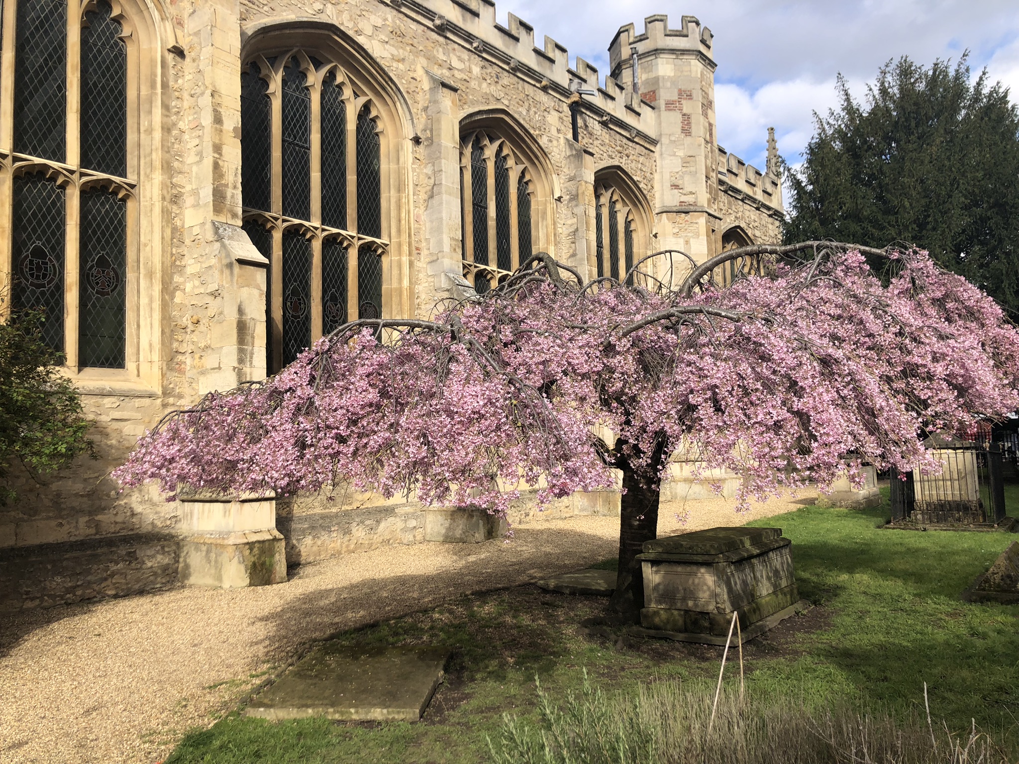 Great St Mary’s Church
